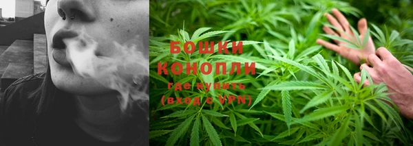 ПСИЛОЦИБИНОВЫЕ ГРИБЫ Касимов