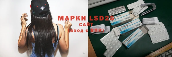 молекула духа Чердынь