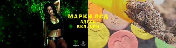 молекула духа Чердынь