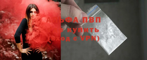ПСИЛОЦИБИНОВЫЕ ГРИБЫ Касимов
