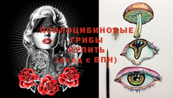 ешки Карпинск