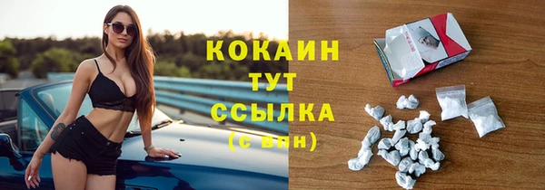 ПСИЛОЦИБИНОВЫЕ ГРИБЫ Касимов